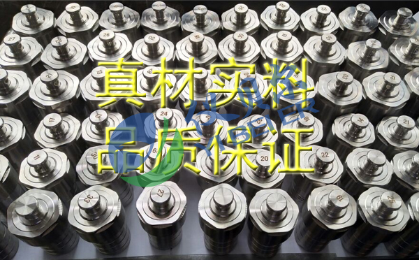 水熱合成反應(yīng)釜 水熱合成反應(yīng)釜